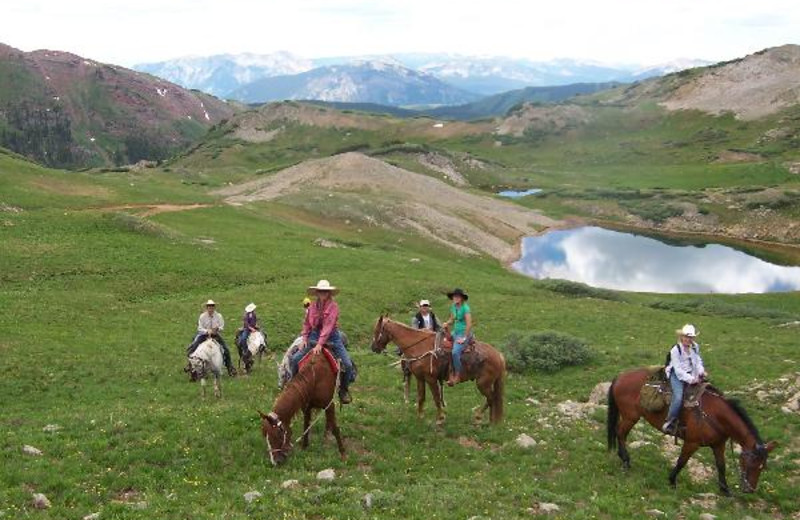 Horseback riding near The Nordic Inn.