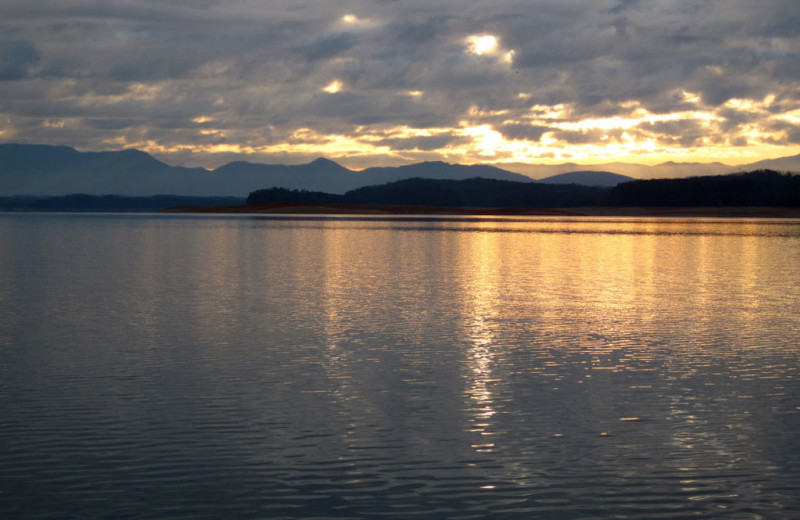 Douglas Lake near Cobbly Nob Rentals.