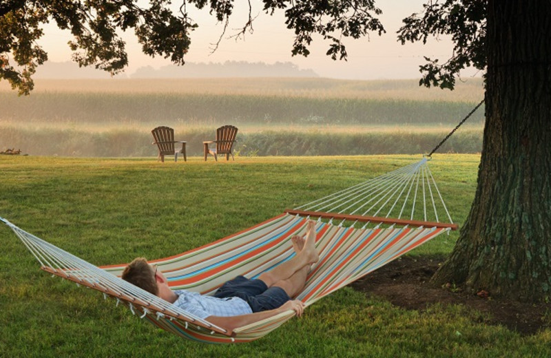 Hammock at HideAway Country Inn