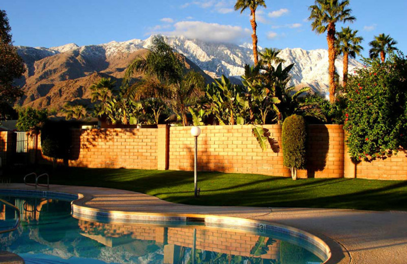 Outdoor pool at Private Villa Management.