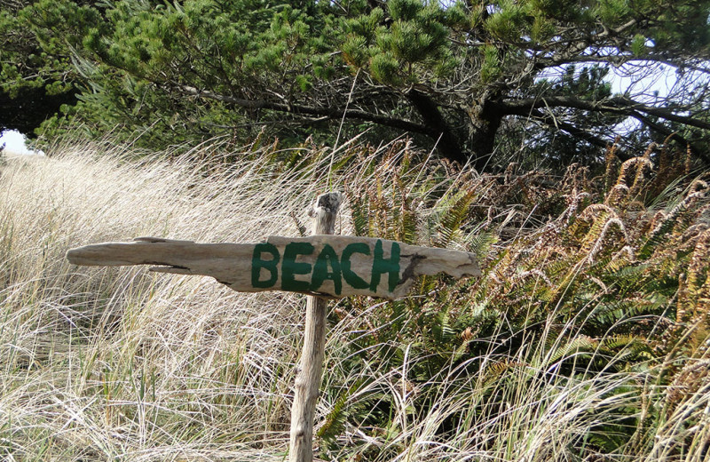 Beach near Shakti Cove Cottages.