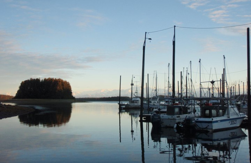 Marina at Glacier Bear Lodge.