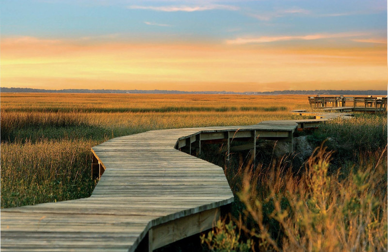 Boardwalk at Omni Amelia Island Plantation.