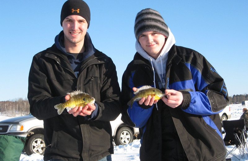 Ice fishing for BIG bluegills!