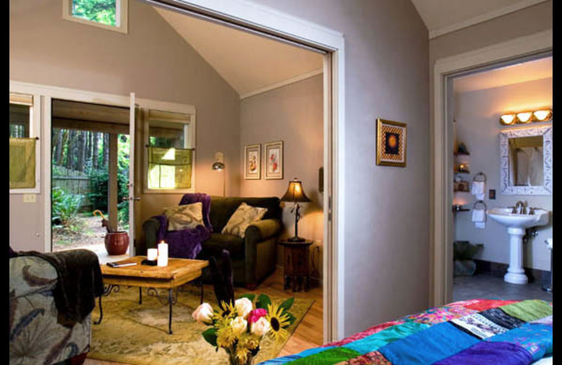 Cabin interior at WildSpring Guest Habitat.