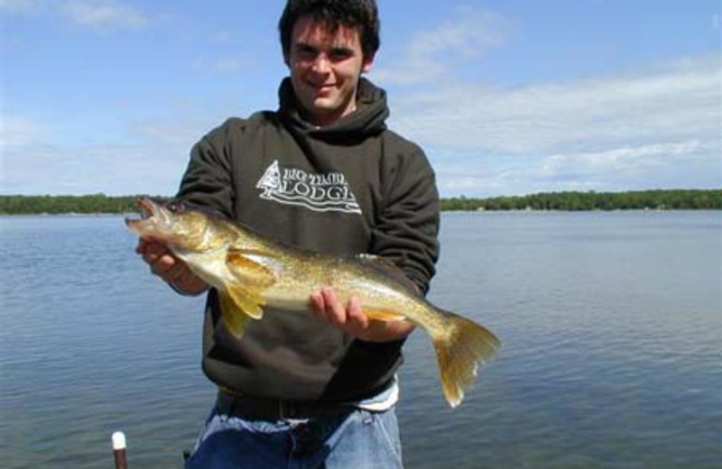 Nice Walleye