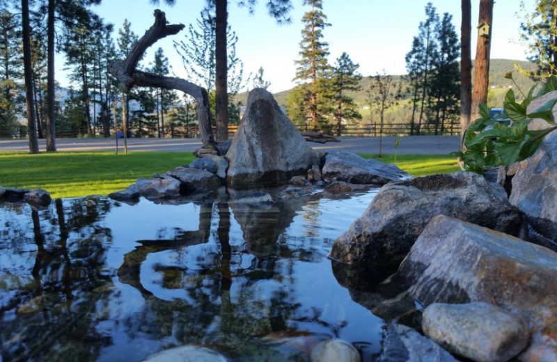 Pond at Powers Creek Retreat.