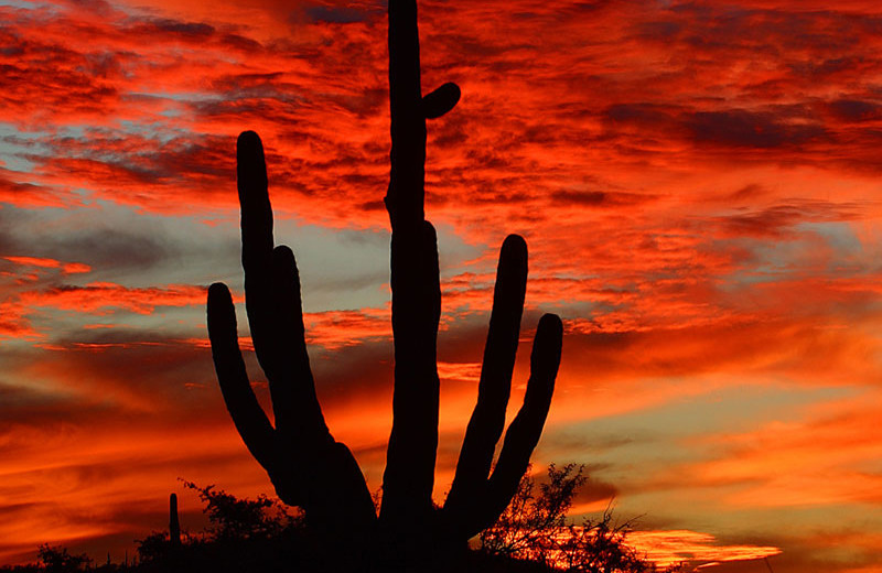 Sunset at The Lodge at Ventana Canyon.
