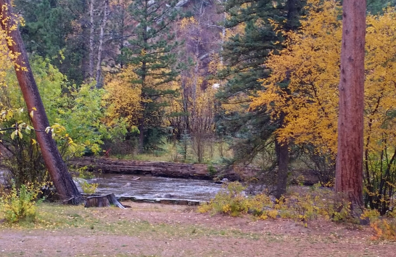 River at Glacier Lodge.