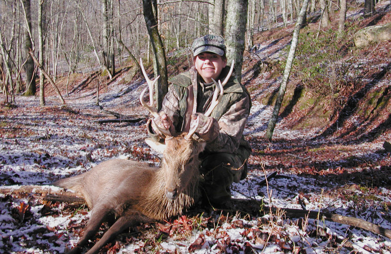 Sika Deer hunting at Caryonah Hunting Lodge.