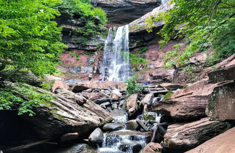 Waterfall near The Hotel Dylan.