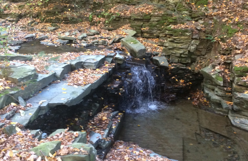 Creek at Clifftop On Seneca.