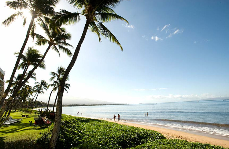 The beach at Sugar Beach Resort.