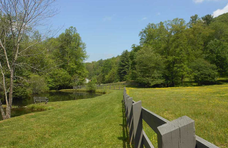 Grounds at Cabins at Highland Falls.