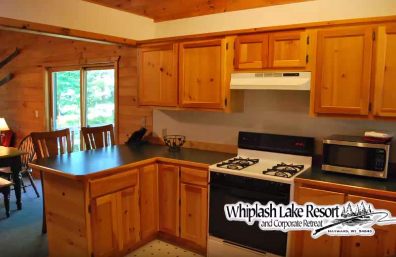 Cabin kitchen at Whiplash Lake Resort.