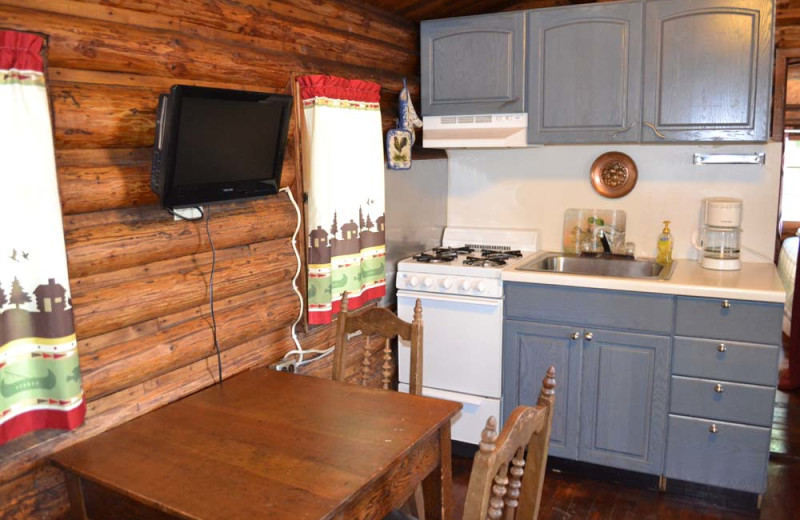 Cabin kitchen at Sand Lake Resort.