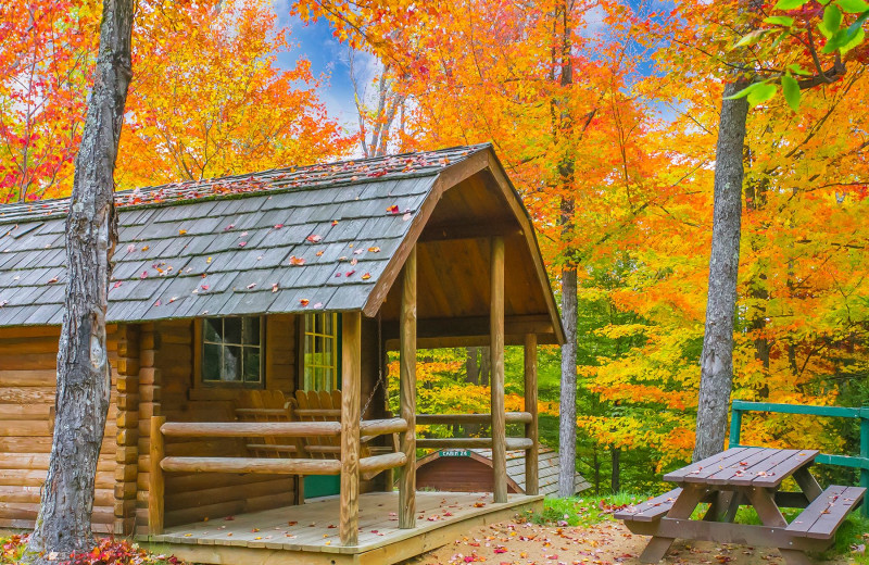 Fall cabin at Old Forge Camping Resort.