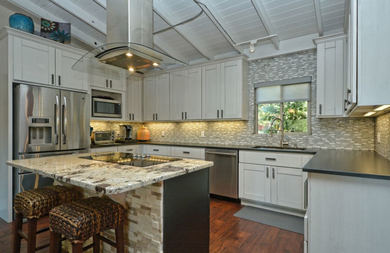 Rental kitchen at Villa Manana.