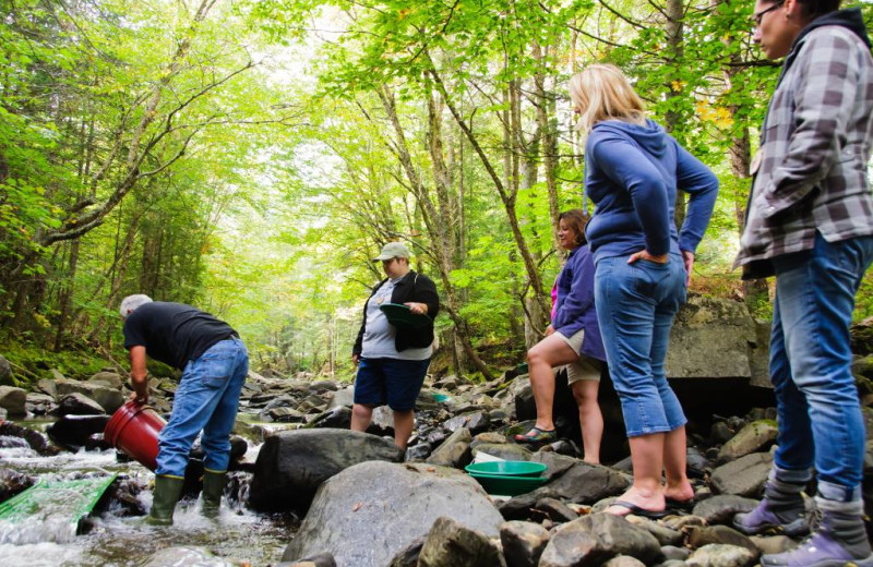 Panning for gems at Jackson's Lodge and Log Cabins.