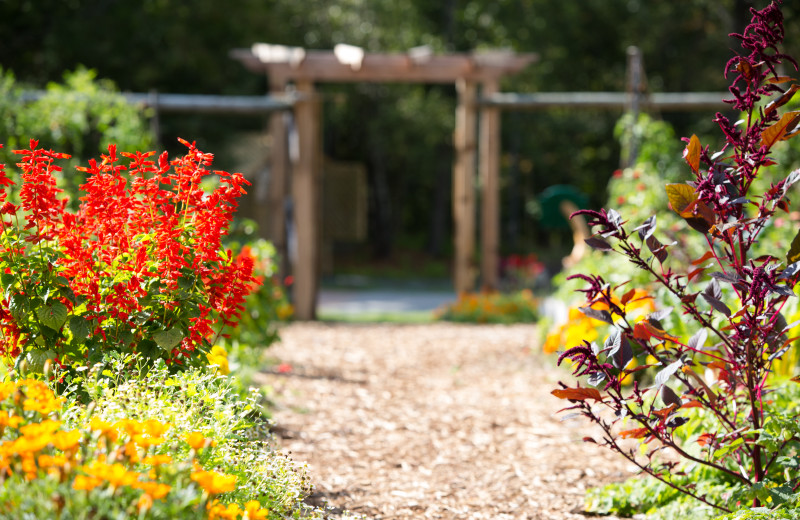 Garden at The Lodge at Woodloch.