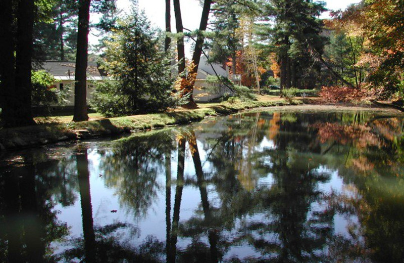 Pond at Pondside Country Motel