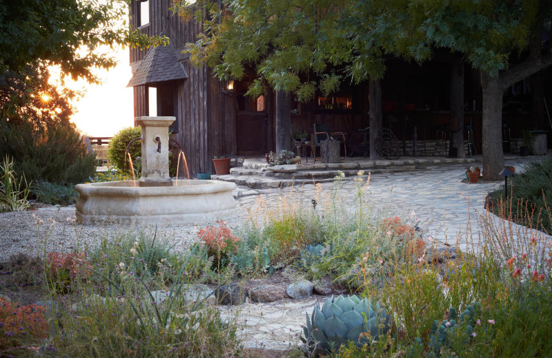 Garden at Inn Paradiso.