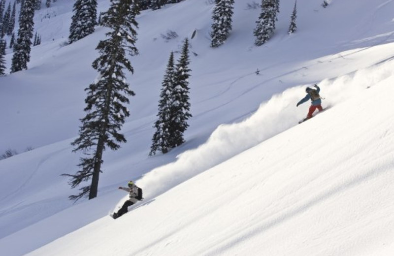 Skiing at Fernie Alpine Resort.