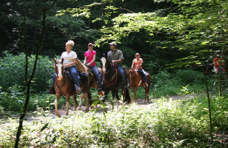 Horseback riding at Sunset Farm Cabins.