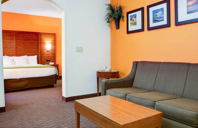 Guest room at Comfort Suites Stevensville - St. Joseph.