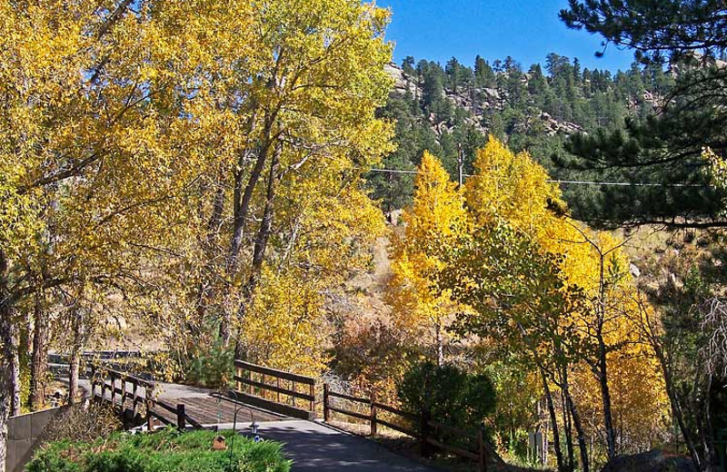 Fall colors at 4 Seasons Inn.