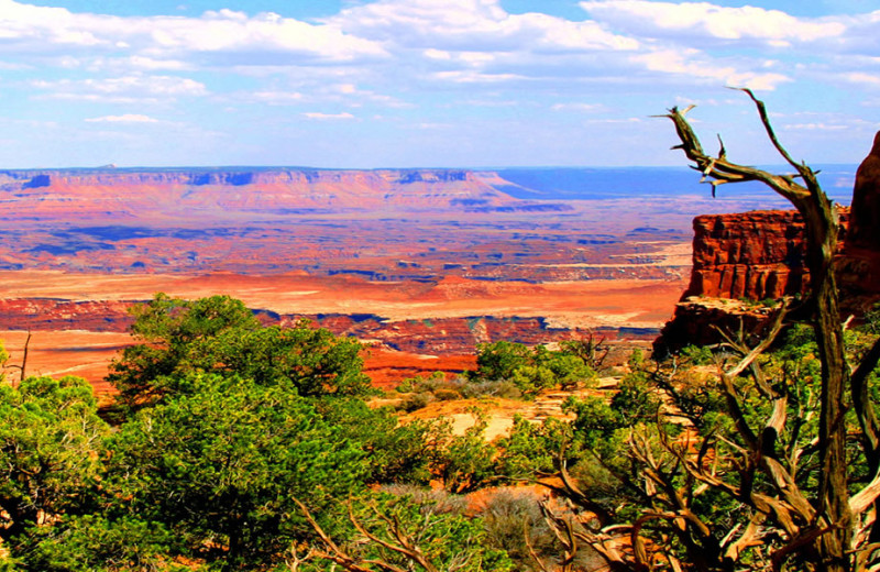 Scenic view at Big Horn Lodge.