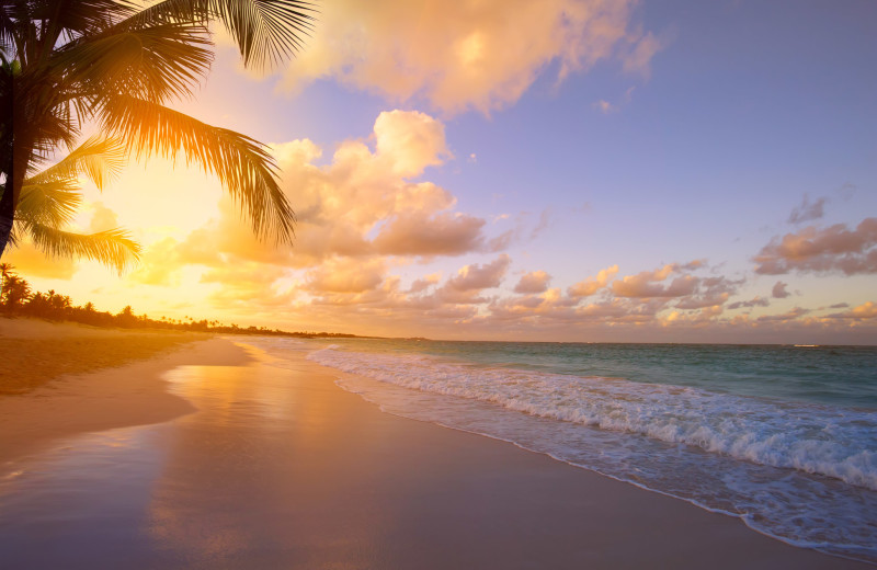 Beach view at Belloise Realty.