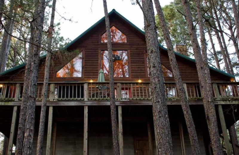 Cabin exterior at Lake Mountain Cabins.