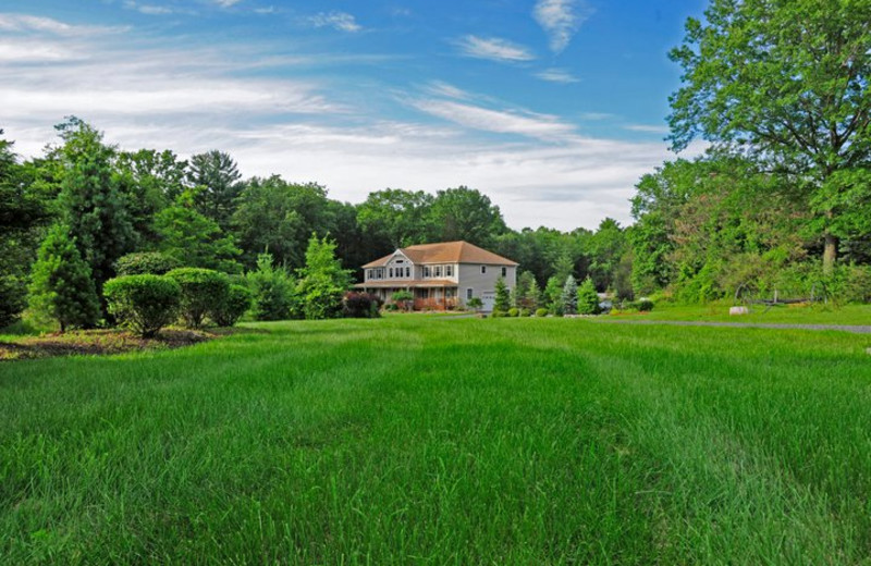 Yard view at Moondance Ridge Bed & Breakfast.