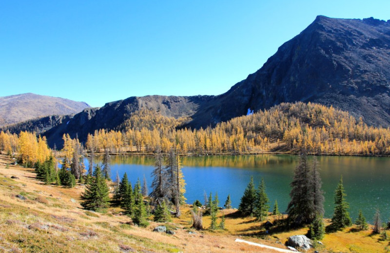 Scenic view at Cathedral Lakes Lodge.