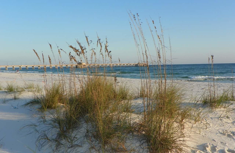 Beach at Alabama Coastal Properties.