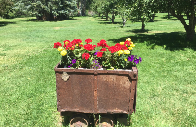 Container gardening at River Orchard Place.