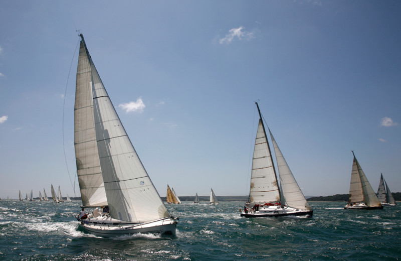 Sail boats at Tamarack Lodge.