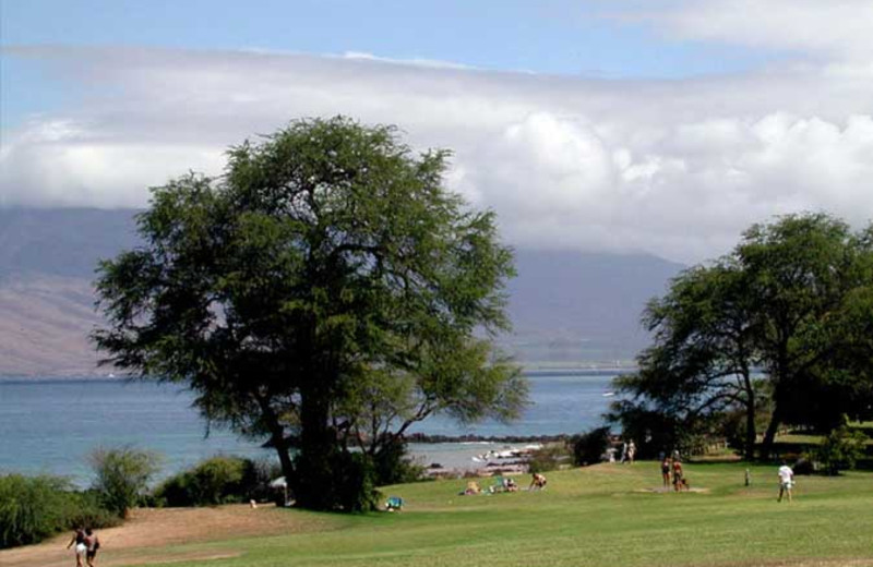 View from Hale Kamaole Condos.