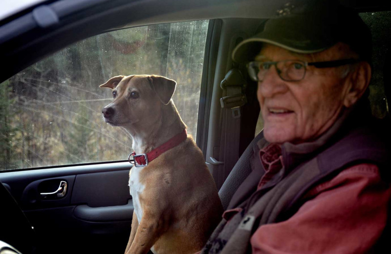 Pets welcome at Johnston Canyon Lodge & Bungalows.