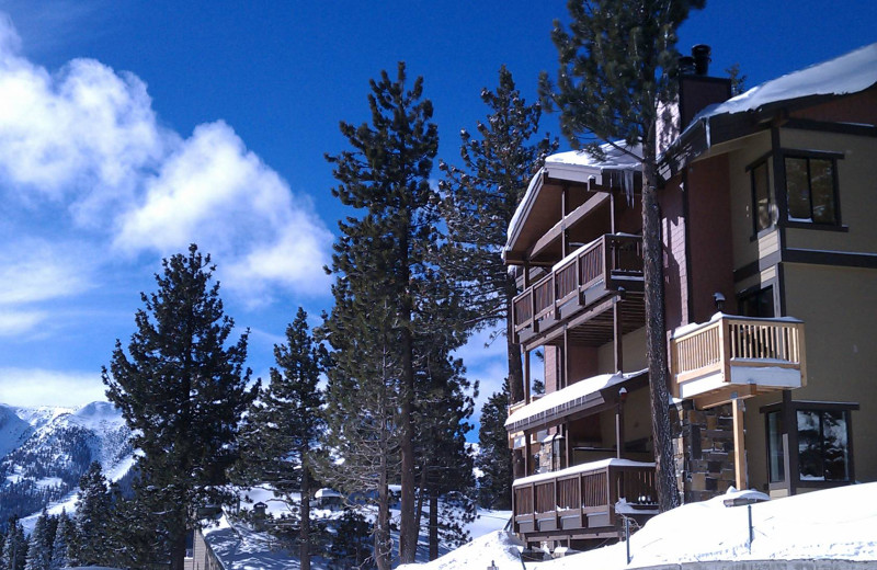 Exterior view of The Village Treehouse-II.