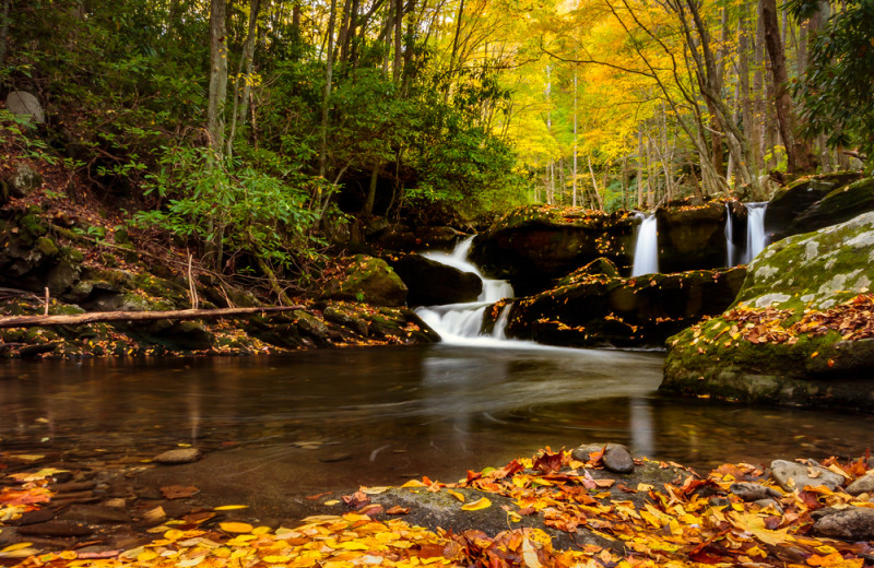 Waterfall at Smoky Creek Cabin Rentals.