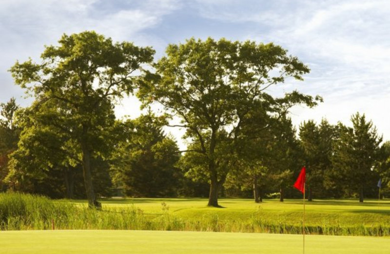 Golf greens at Madden's on Gull Lake.