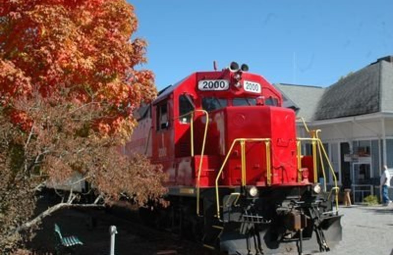 Train at JP Ridgeland Cabin Rentals
