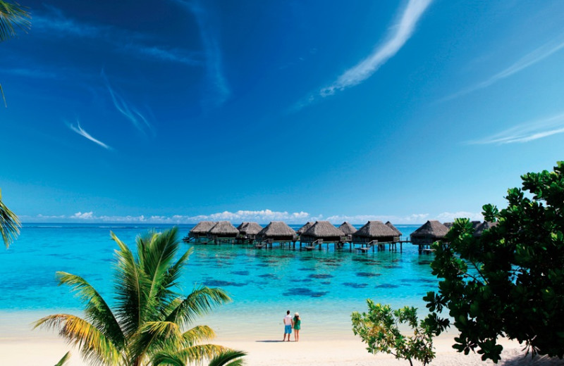 Exterior view of Sheraton Moorea Lagoon Resort & Spa.