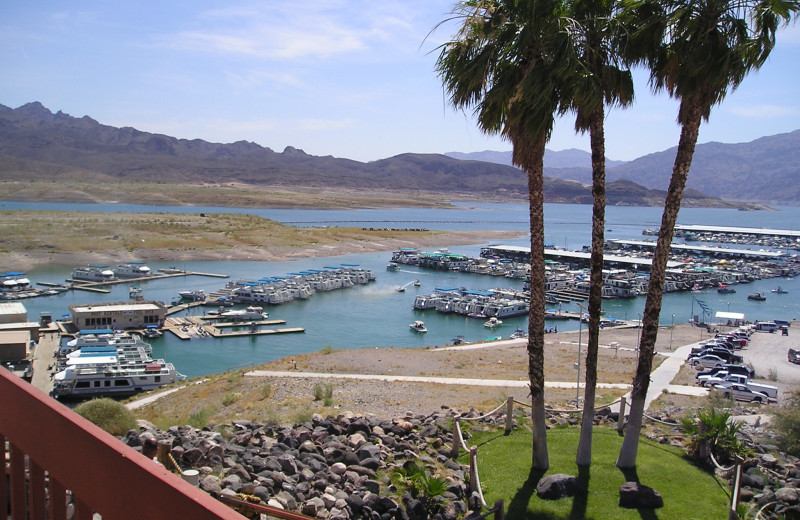 View of marina at Callville Bay.