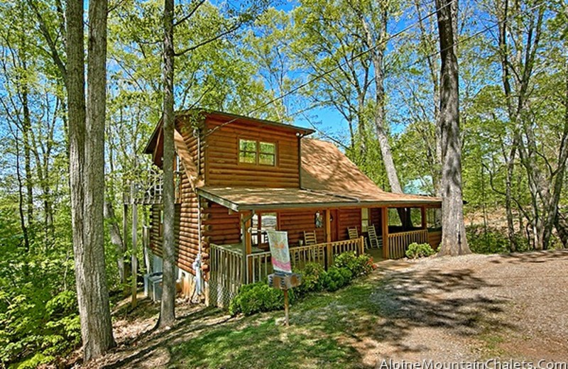 Pigeon Forge Vacation Rentals Cabin 2 Bedroom Log Cabin Tucked