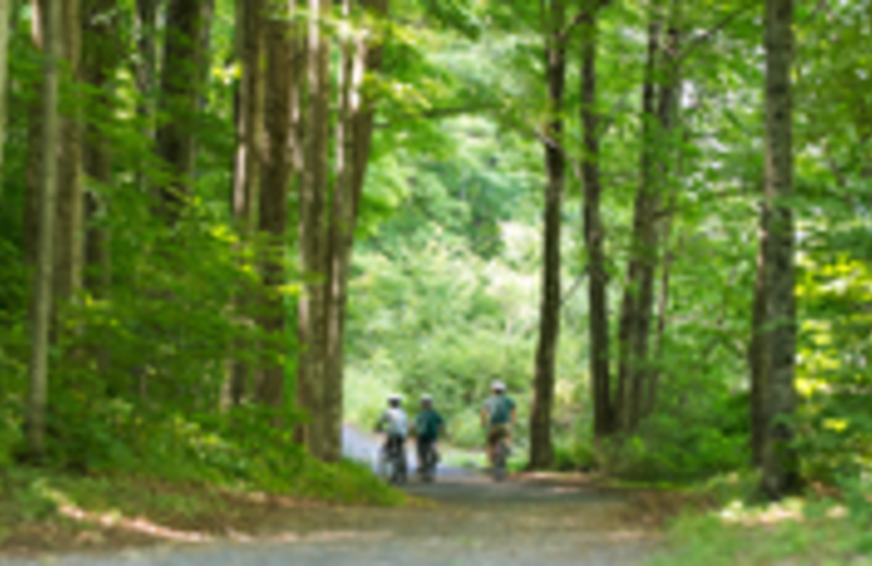 Timber Lake Camp (Shandaken, NY) Resort Reviews