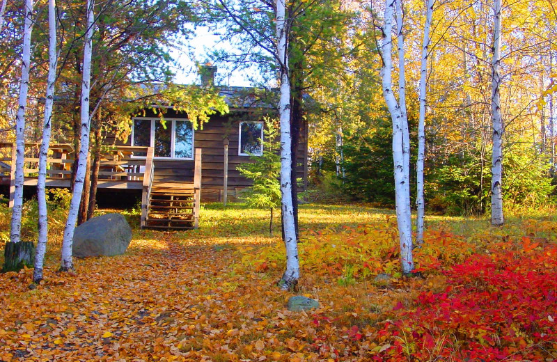 Lodge View at Golden Eagle Lodge.