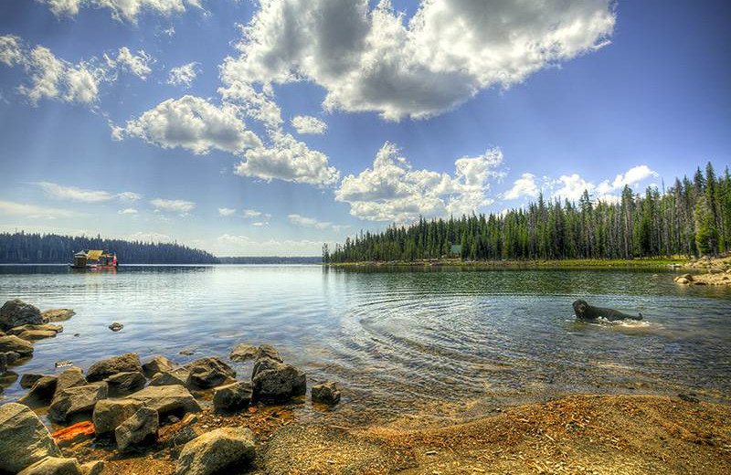 Lake view at Elk Lake Resort.